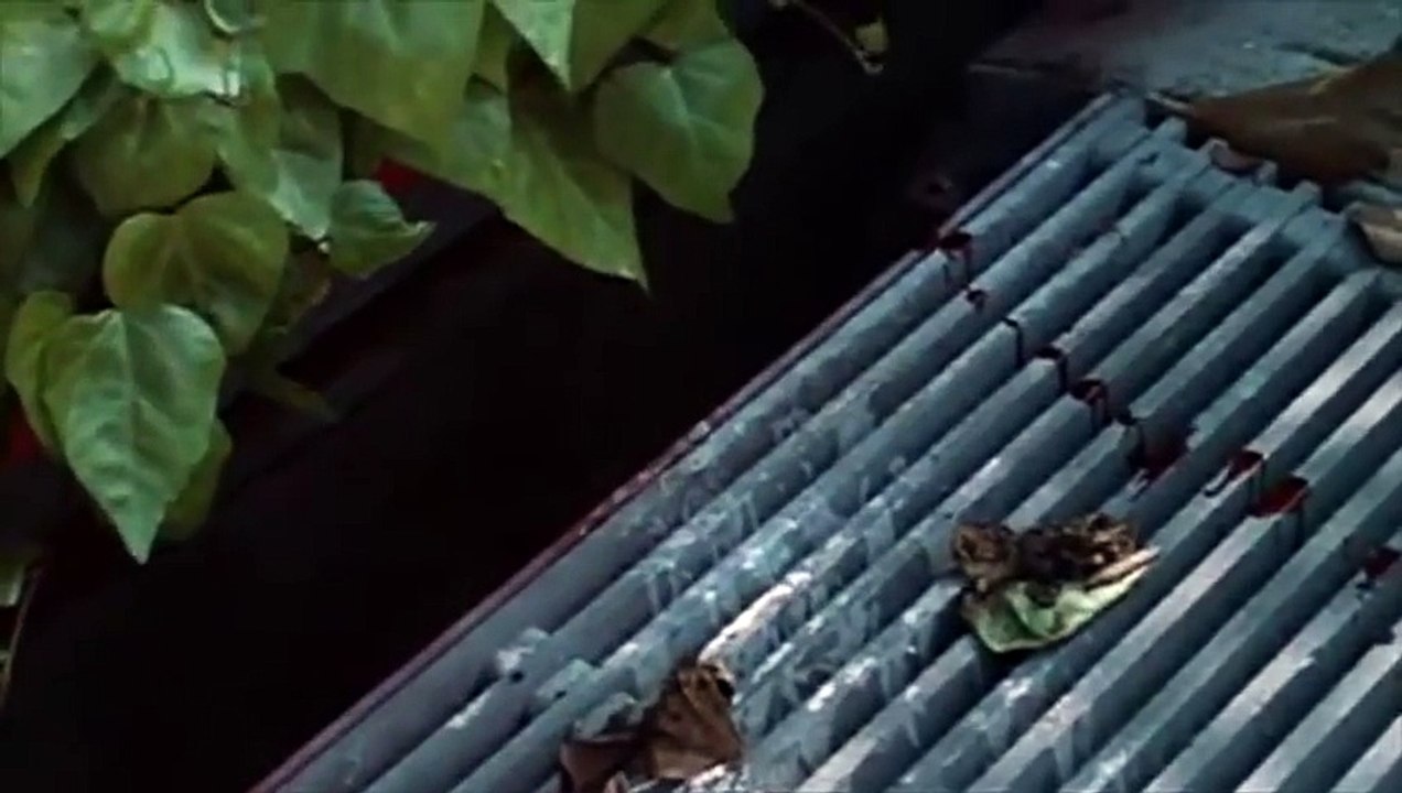It's Alive (1974) Official Trailer