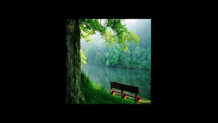 Googoosh... Hala Bavar Bokonam