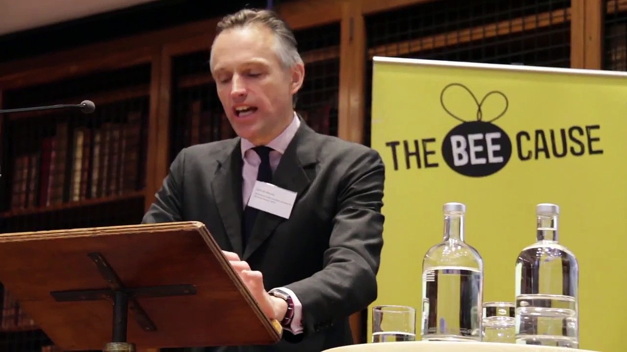 Bee Action Plan - you did it