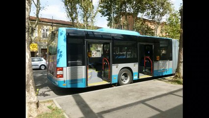 MAN Lion's City G Trieste Trasporti