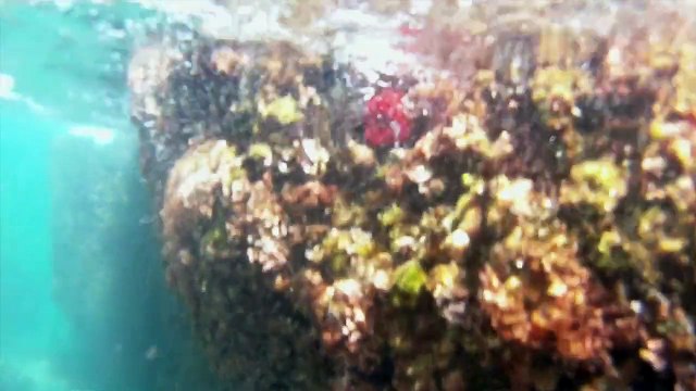 PMT à Collioure et à Port-Vendres