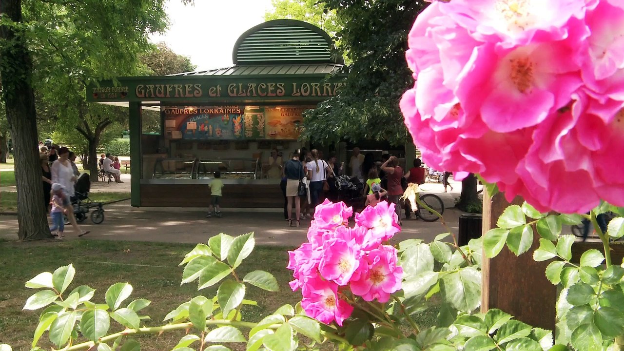 Les Glaces Lorraines de Nancy