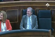 El ministro Méndez de Vigo se estrena en el Congreso