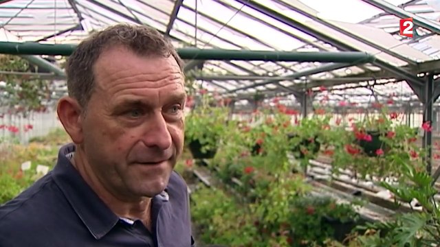 La grêle a fait de gros dégâts en Franche-Comté