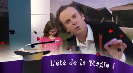 Max le Magicien : L'été de la Magie