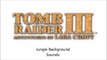 Tomb Raider 3 Jungle Background Noises SFX