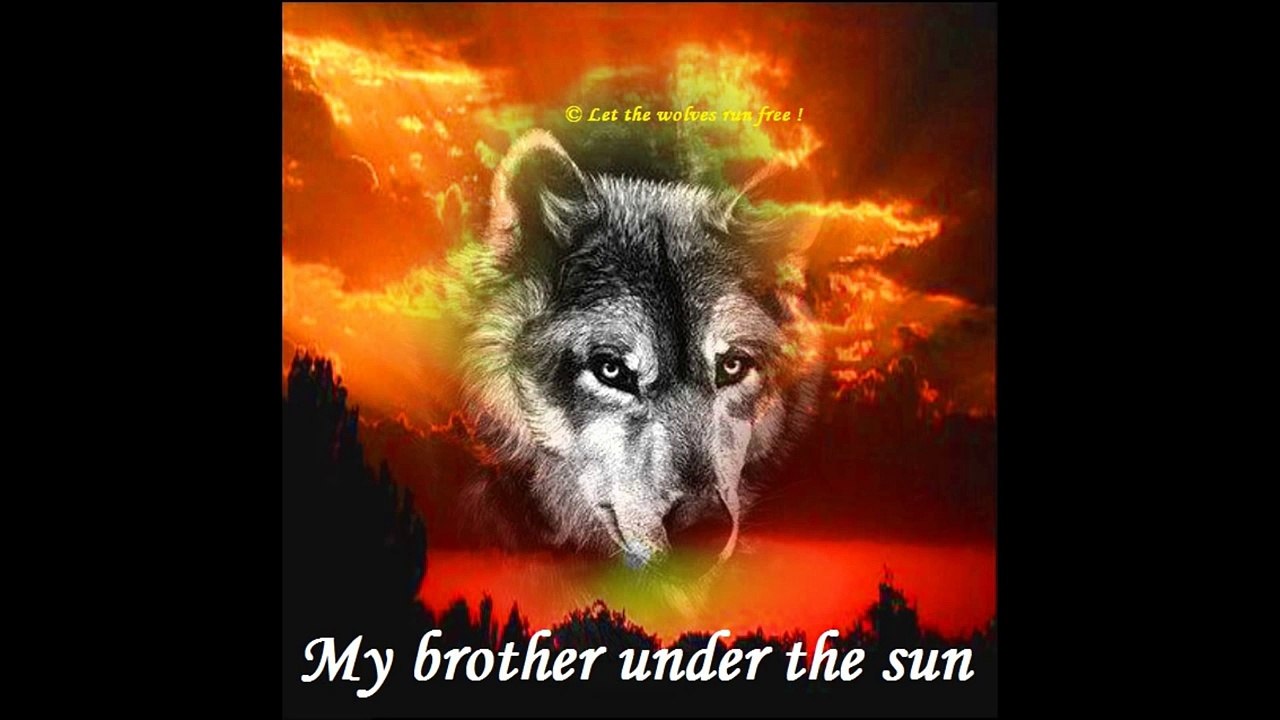 Brother under the sun   Bryan Adams