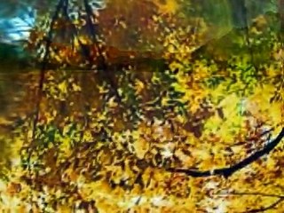 KONTURE - Ne brini za mene (1973)