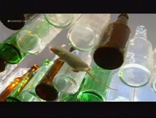 Gevolgen van 21  glazen alcohol per week