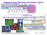 Introduction to Biomedical Ontologies #4:  Ontology Term Enrichment Using RatMine