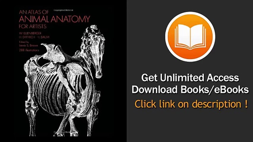 An Atlas Of Animal Anatomy For Artists Dover Anatomy For Artists Pdf Video Dailymotion