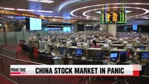 China stocks plunge amid market panic
