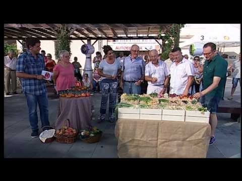 TV3 - Divendres - Horta i gallecs de Santa Perètua de Mogoda (II)