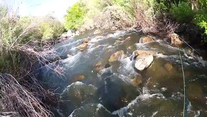 Fly Fishing Ogden River | Best of Videos