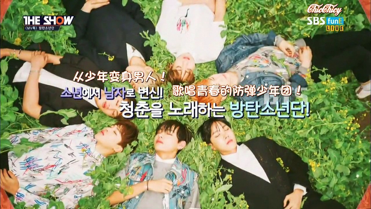 【ChicChicy中字】150505 防彈少年團 The Show MV talk