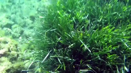 Canon D30 : présentation du compact étanche et verdict