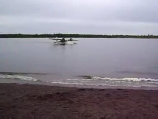 Grumman Goose Landing