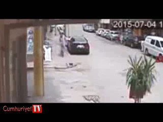 Kedi kaldırımda yürüyen köpek ve sahibine saldırdı