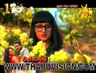 Sulaga wage awidin (43) 2015-07-08