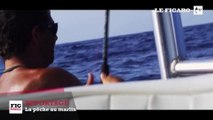 La pêche au marlin : du corps-à-corps