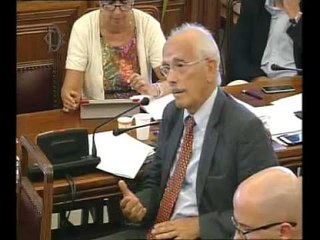 Roma - Audizioni su decreti attuativi in materia di lavoro (07.07.15)