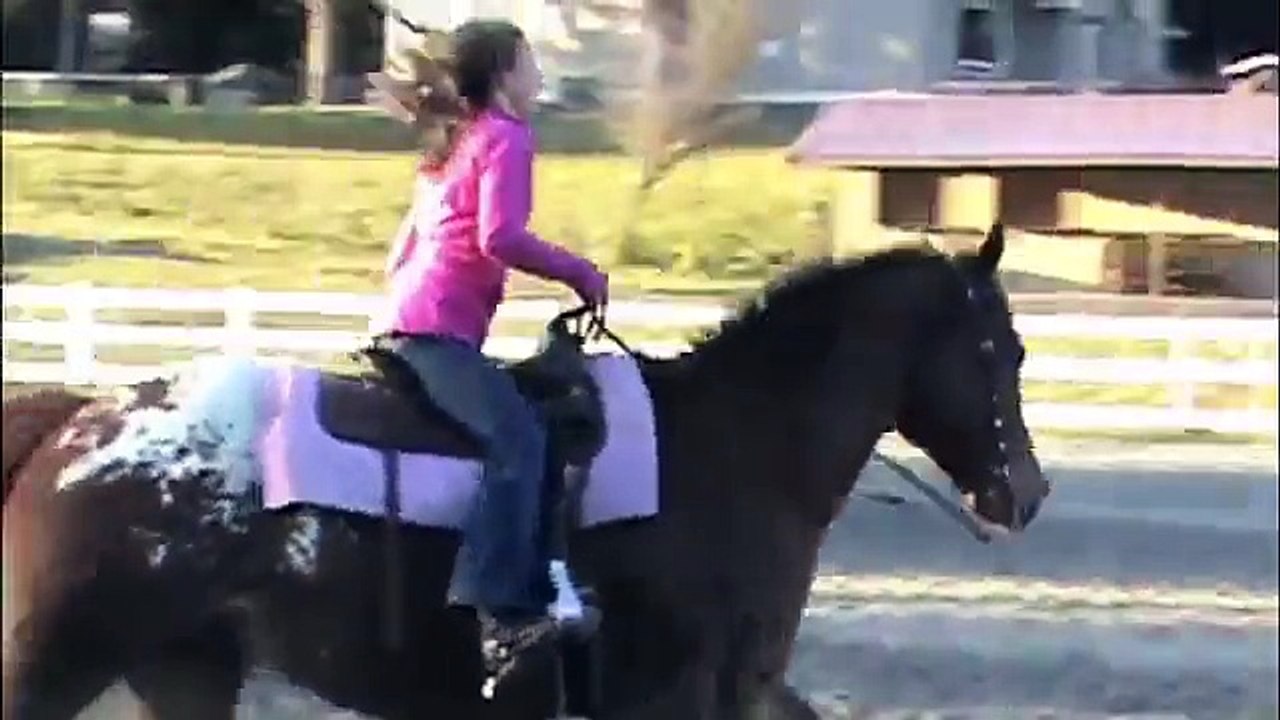 Do A Soft Rock - 2000 ApHC Kid Horse for Sale