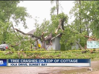 Family of six safe after tree crushes house