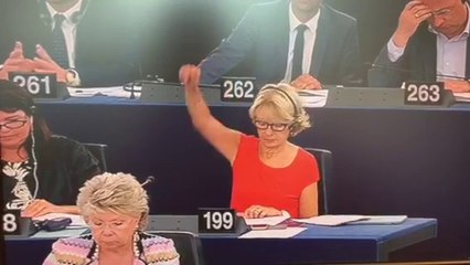 EMC_91% en faveur de mon rapport : les mêmes droits pour les salariés sur mer comme sur terre_Session Plénière _08072015