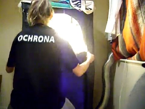 250w marijuana grow tent white widow - el nino