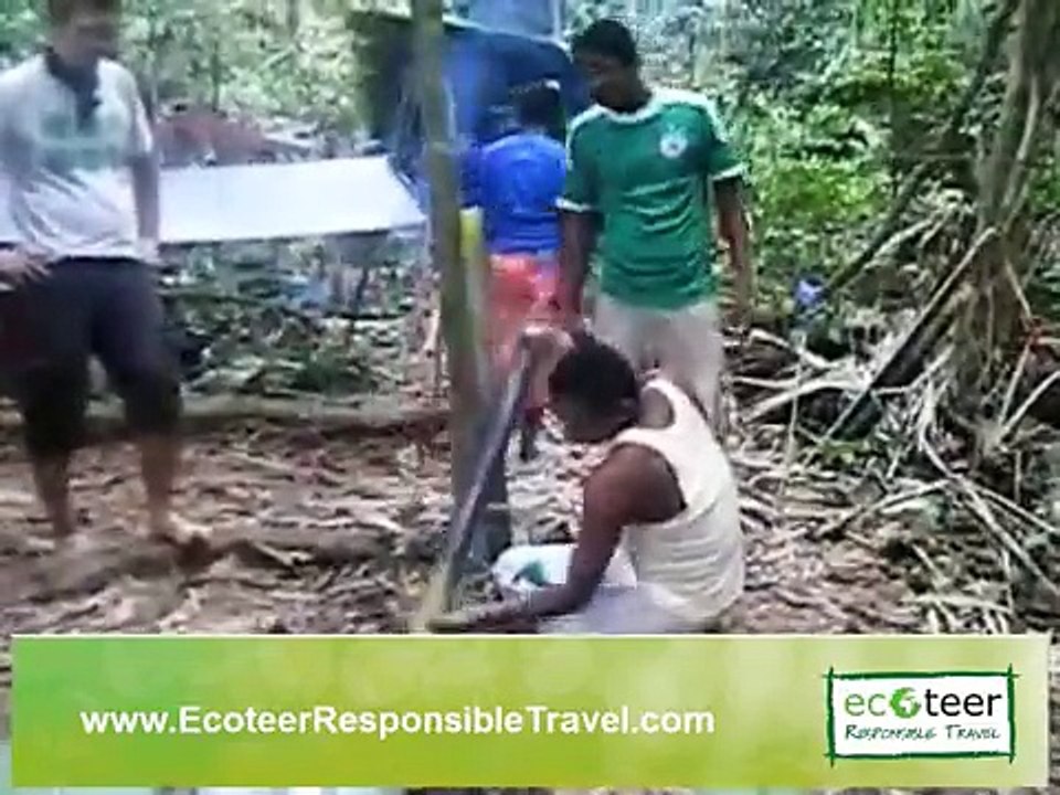 Tiger Trail - Taman Negara, Malaysia