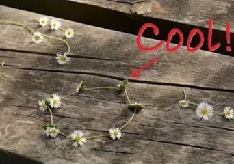 How to Make the Perfect Daisy Chain