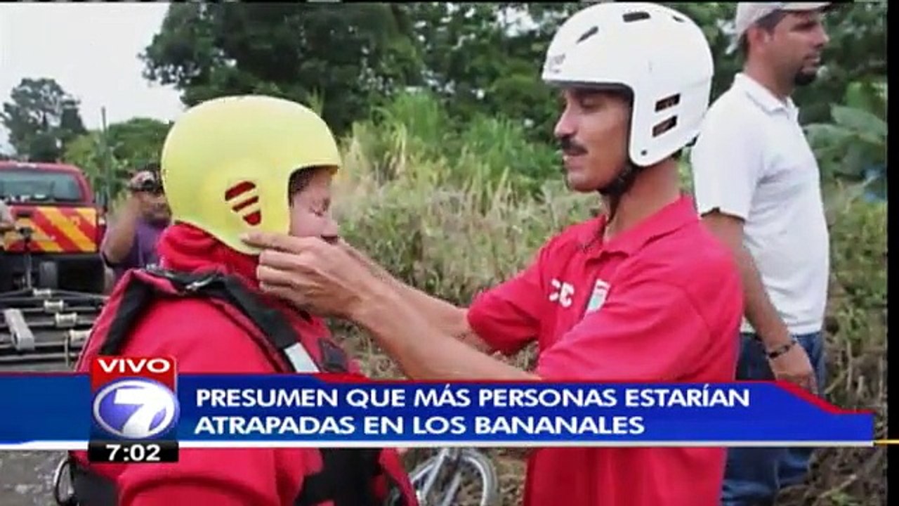 tn7-amarilla-060715