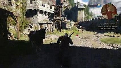 The Witcher 3 - Mysterious Herbalist post story completion