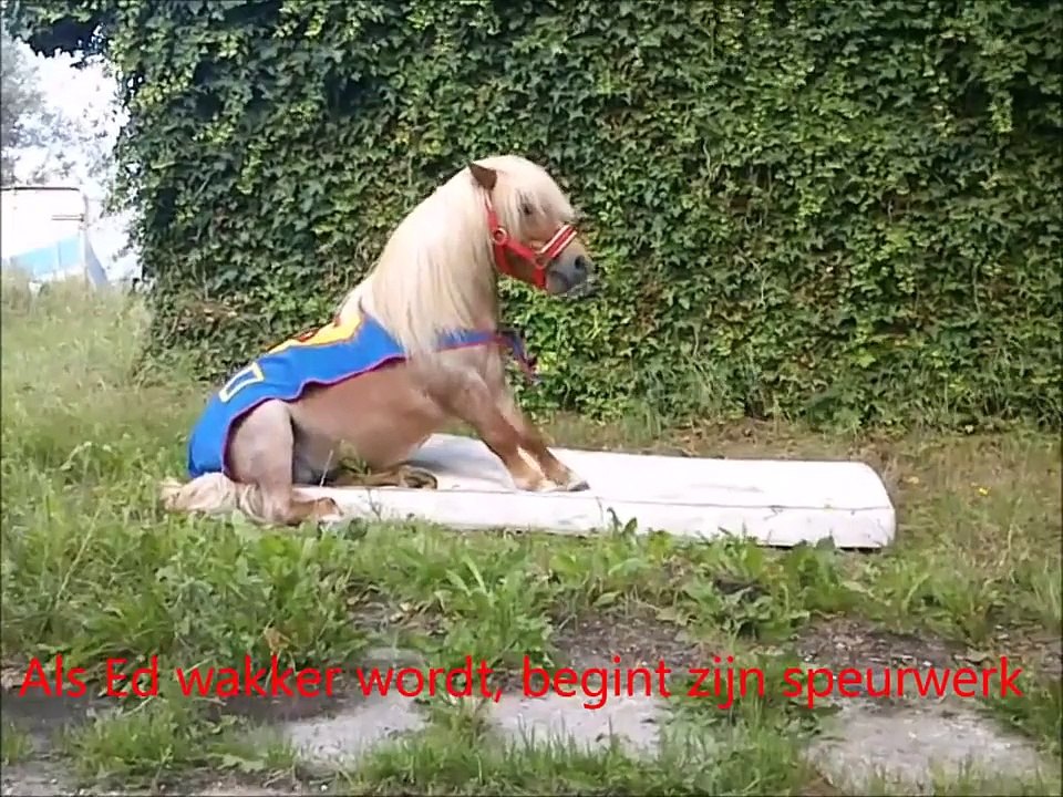 Als je in gevaar bent, is er maar 1 die je komt redden. Super Ed!!