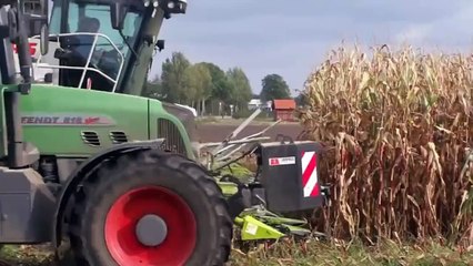 Die Maisernte in Niedersachsen Traktoren im Schlamm Einsatz am Limit festgefahren neu