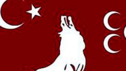 Livasesli sesli liva ülkücüler bayrak