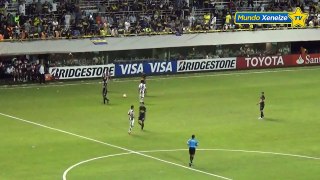 Gol de Calleri a Palestino _Copa Libertadores 2015