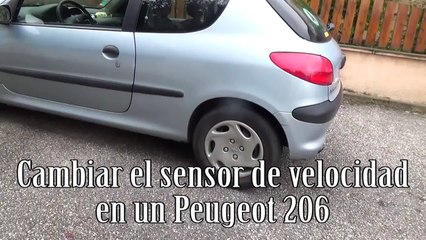 Cambiar sensor de velocidad paso a paso - Problema aguja del velocímetro