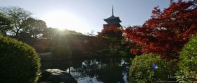 Beautiful Kyoto: The most amazing Autumn momiji leaves in Kyoto 京都の美しい紅葉