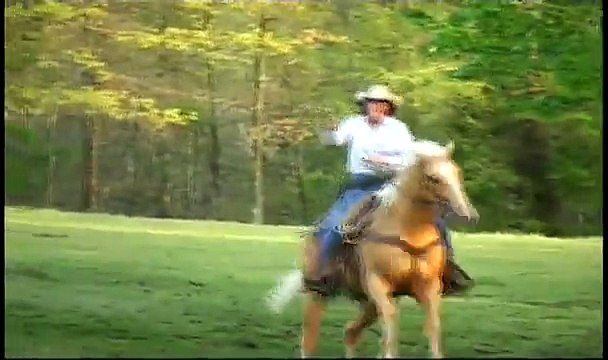 Meghan Tyrrell- Wanted Cowgirl