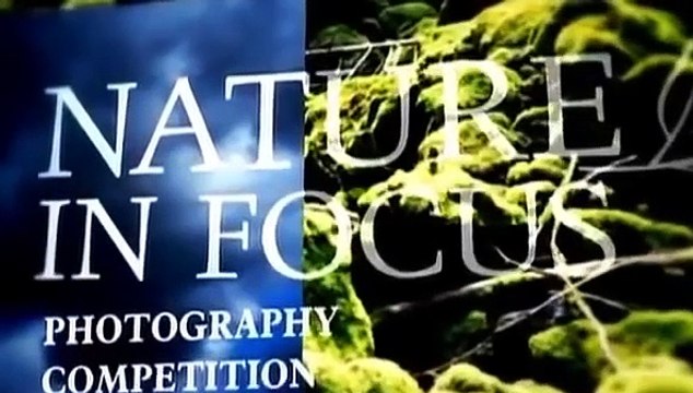 Blue Buddha Lost Secrets of Tibetan Medicine