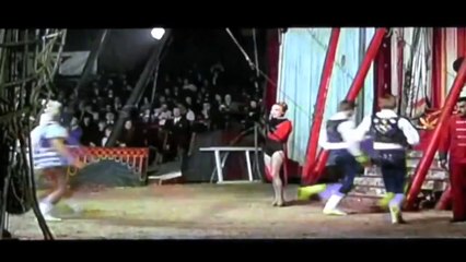 Circus Poodles (HD)