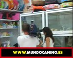 TeleMadrid entrevista a MundoCanino.es Venta de perros. Comprar cachorros de perro en MundoCanino