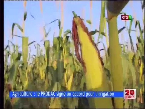 Agriculture : Le PRODAC signe un accord pour l'irrigation