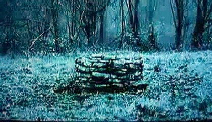 El Aro/ La Señal/ La Llamada Parte 11 Español Latino