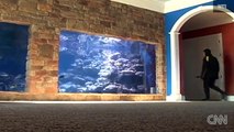 Man goes diving in his living room# video us 2013 03 28 pkg largest privately owned reef tank witi#
