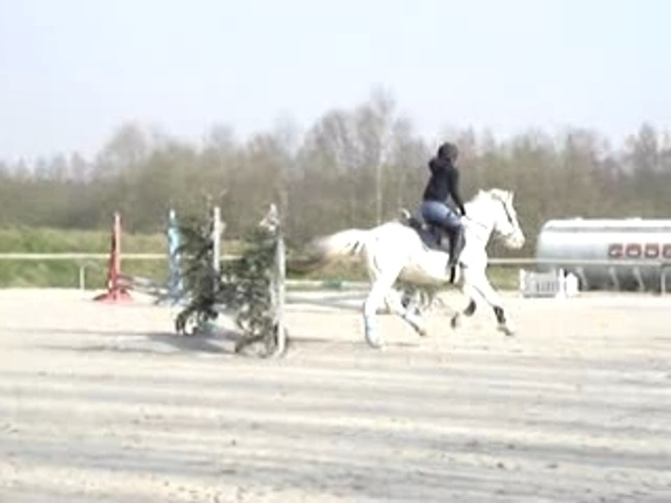 Marie en concour