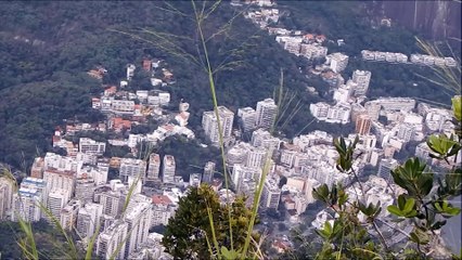 Tangerine Dream - Optical Race.