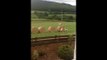 Des moutons jouent à saute moutons