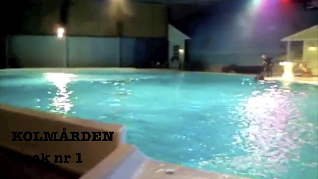 kolmården - rocka på